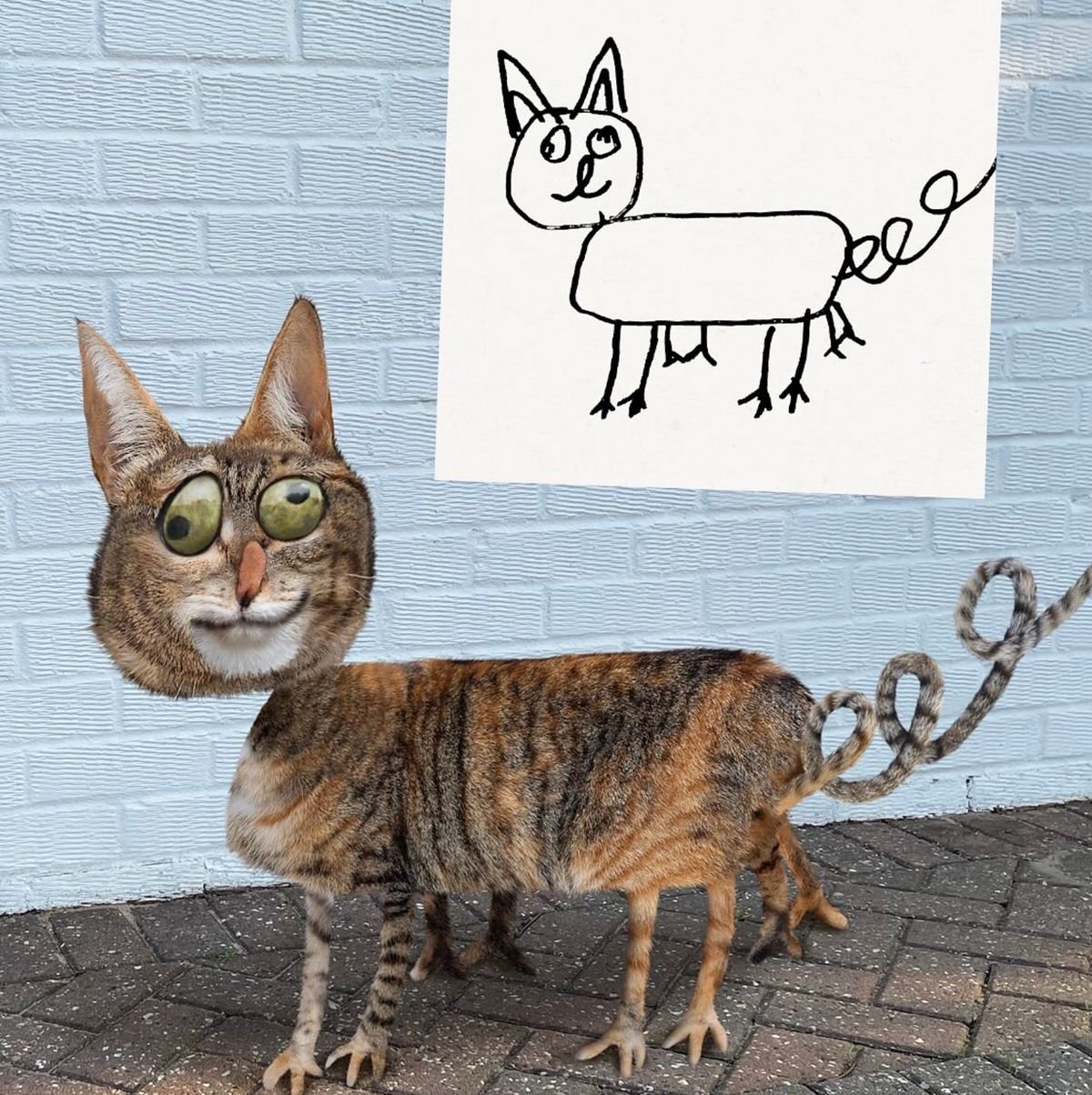 A cat with enormous startled googly eyes, drawn to life from a child's sketch