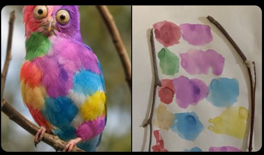 A small bird with googly eyes perched and staring straight ahead